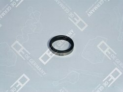 Scaun supapa OE Germany 01 0123 900000