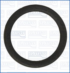 INEL ETANSARE, FURTUN LICHID RACIRE AJUSA 01276300 - Compatibil cu AUDI, FORD, GAZ, MITSUBISHI, SEAT, SKODA, VW