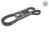 Curea transmisie Meyle 050 007 2418