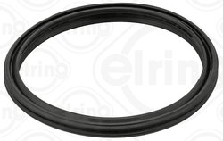 GARNITURA GALERIE ADMISIE ELRING 066.790 - Compatibil cu LOTUS, MERCEDES-BENZ