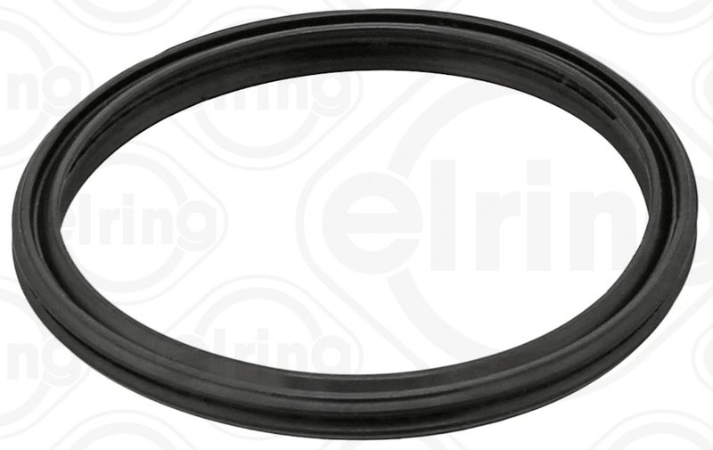 GARNITURA GALERIE ADMISIE ELRING 066.790 - Compatibil cu LOTUS, MERCEDES-BENZ