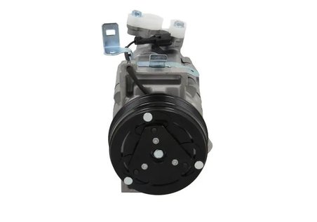 Compresor climatizare PSH 090.175.009.000