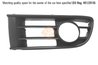 GRILA VENTILATIE, BARA PROTECTIE I.S.A.M. 0929715 - Compatibil cu VW