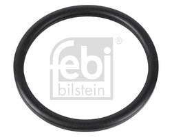 GARNITURA TERMOSTAT FEBI BILSTEIN 10255 - Compatibil cu RENAULT