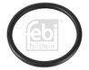 GARNITURA TERMOSTAT FEBI BILSTEIN 10255 - Compatibil cu RENAULT