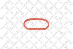 GARNITURA GALERIE ADMISIE STELLOX 11-26089-SX - Compatibil cu BMW