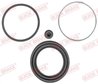 SET REPARATIE ETRIER QUICK BRAKE 114-0084 - Compatibil cu CITROEN, DACIA, LADA, PEUGEOT, RENAULT