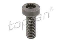 Surub Topran 117 245