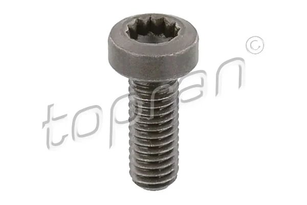 Surub Topran 117 245