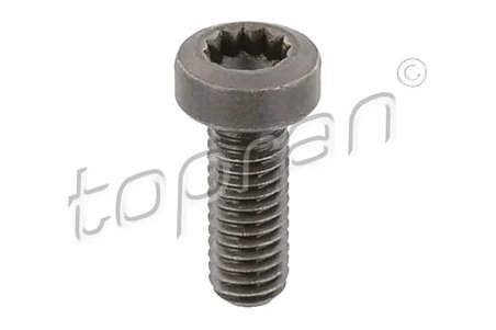 Surub Topran 117 245