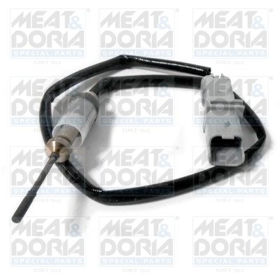 Senzor temperatura gaze evacuare Meat & Doria 11902