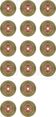 Set garnituri ax supape Victor Reinz 12-36497-01