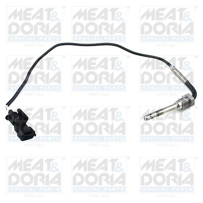 Senzor temperatura gaze evacuare Meat & Doria 12049