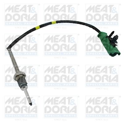 Senzor temperatura gaze evacuare Meat & Doria 12395