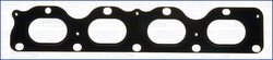 GARNITURA GALERIE EVACUARE AJUSA 13214100 - Compatibil cu ALFA ROMEO, CHEVROLET, CHEVROLET (SGM), DAEWOO, FIAT, OPEL, UZ-DAEWOO,