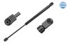 AMORTIZOR PORTBAGAJ MEYLE 16-40 910 0003 - Compatibil cu RENAULT