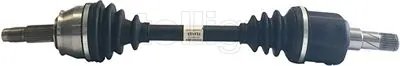 Planetara Metelli 17-0801