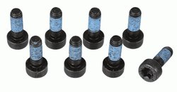 Set suruburi volanta SACHS 1874 000 073
