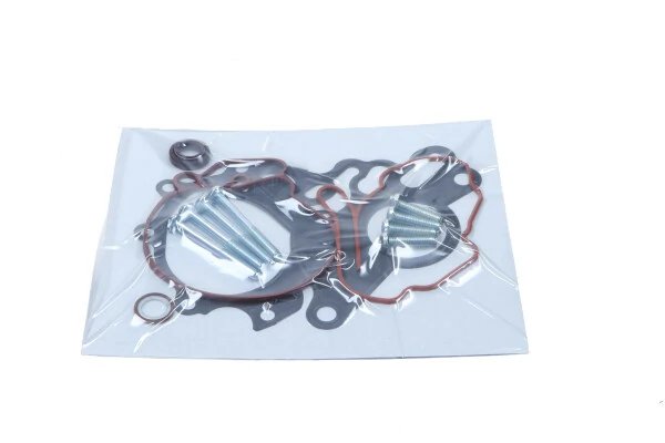 SET REPARATIE, POMPA VACUUM (SISTE FRANA) MAXGEAR 27-2016 - Compatibil cu AUDI, SKODA, VW