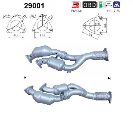 Catalizator AS 29001
