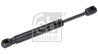 Amortizor luneta Febi Bilstein 29268