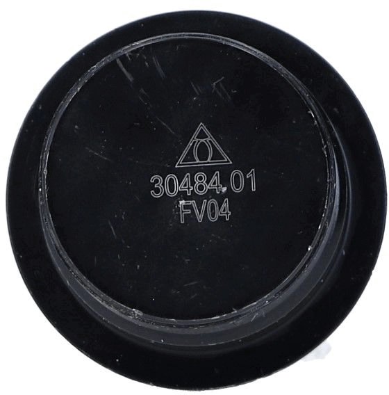 Pivot Lemforder 30484 01