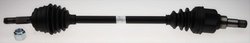 PLANETARA LOBRO 306789 - Compatibil cu CITROEN, PEUGEOT