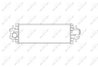 Intercooler NRF 30876
