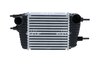 Intercooler NRF 30987