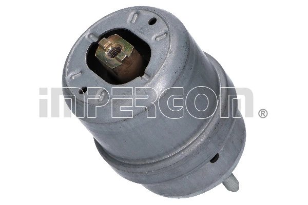 SUPORT MOTOR IMPERGOM 37565 - Compatibil cu VW