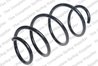 ARC SUSPENSIE LESJOFORS 4073003 - Compatibil cu RENAULT