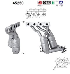 Catalizator AS 45250