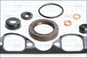 Set garnituri chiulasa Ajusa 53009800