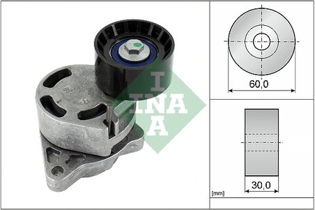 INTINZATOR CUREA DISTRIBUTIE INA 534 0181 10 - Compatibil cu NISSAN, OPEL, RENAULT, VAUXHALL