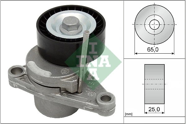 Intinzator curea distributie INA 534 0250 10