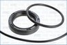 Set garnituri carter Ajusa 54141600