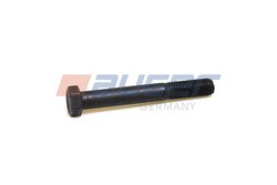 Surub Auger 54801