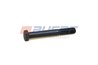 SURUB AUGER 54801 - Piesa auto compatibila cu mai multe marci