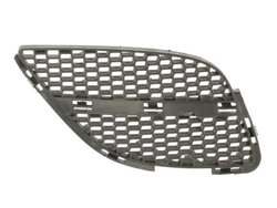 Grila radiator BLIC 5513-00-1632914P