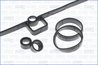 Set garnituri capac culbutori Ajusa 56048400