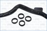 Set garnituri capac culbutori Ajusa 56060900