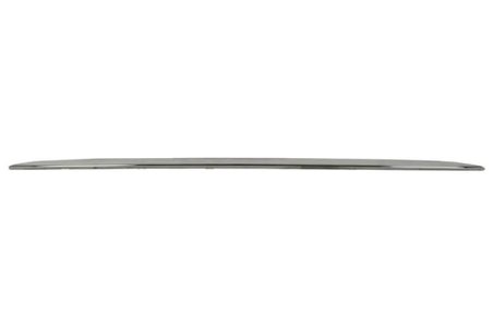 BANDA DE PROTECTIE, BARA DE PROTECTIE BLIC 5703-05-3519974P - Compatibil cu MERCEDES-BENZ
