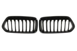 GRILA RADIATOR BLIC 6502-07-0060911P - Compatibil cu BMW