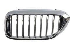 Grila radiator BLIC 6502-07-0068993P