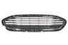 GRILA RADIATOR BLIC 6502-07-2566991P - Compatibil cu FORD
