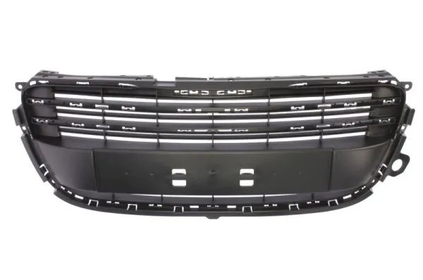Grila radiator BLIC 6502-07-5527990Q