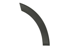 ELEMENTE DECORATIVE/PROTECTIE, PORTIERA BLIC 6601-02-2518423P - Compatibil cu FORD