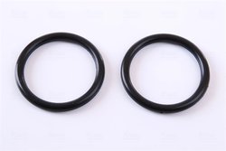 Radiator racire motor Nissens 67322