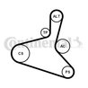 SET CUREA TRANSMISIE CU CANELURI CONTINENTAL 6DPK1195K1 - Compatibil cu AUDI, SEAT, SKODA, VW
