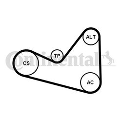 SET CUREA TRANSMISIE CU CANELURI CONTINENTAL 6PK1050K3 - Compatibil cu CITROEN, PEUGEOT